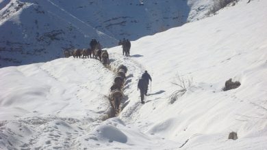 roboski kacakcilik cilesi 36