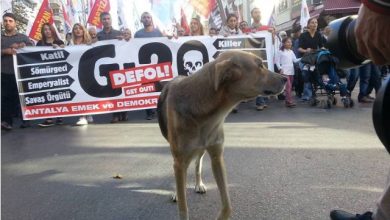 g20 protestosuna saldiriu