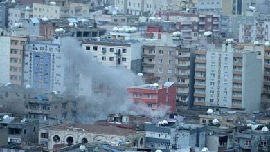 cizre 25