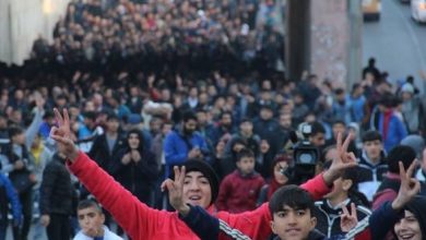 amed miting