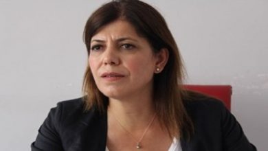 MEral-Danış-Beştaş-28-Ağustos-2015