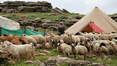 Devletin yayla yasakları sürüyor Hele bir yaylaya çıkın görürsünüz