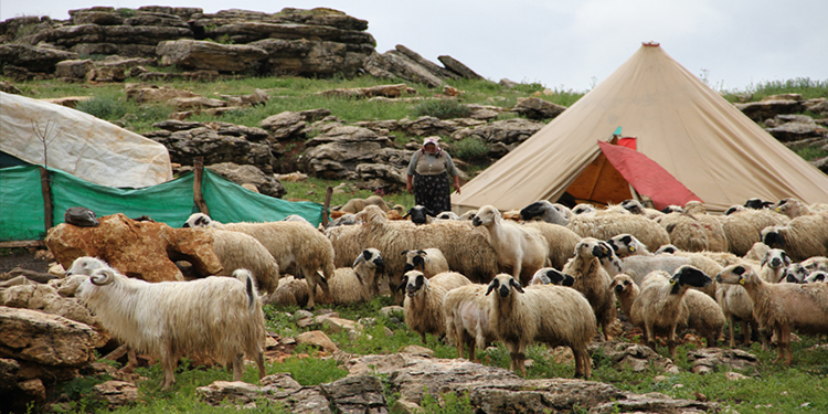 Devletin yayla yasakları sürüyor Hele bir yaylaya çıkın görürsünüz