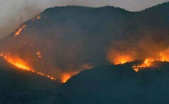 dersim orman yangın