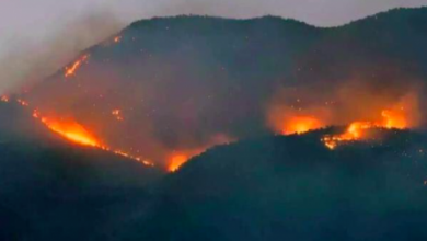 dersim de orman yangınları sürüyor