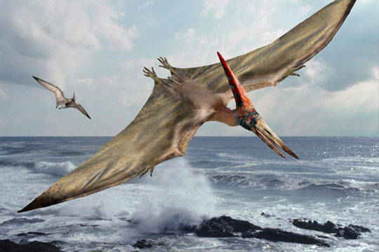 pterosaur fun facts