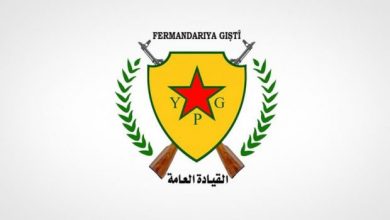 YPG 620x364 1